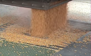 Drive Over Grain Unloader