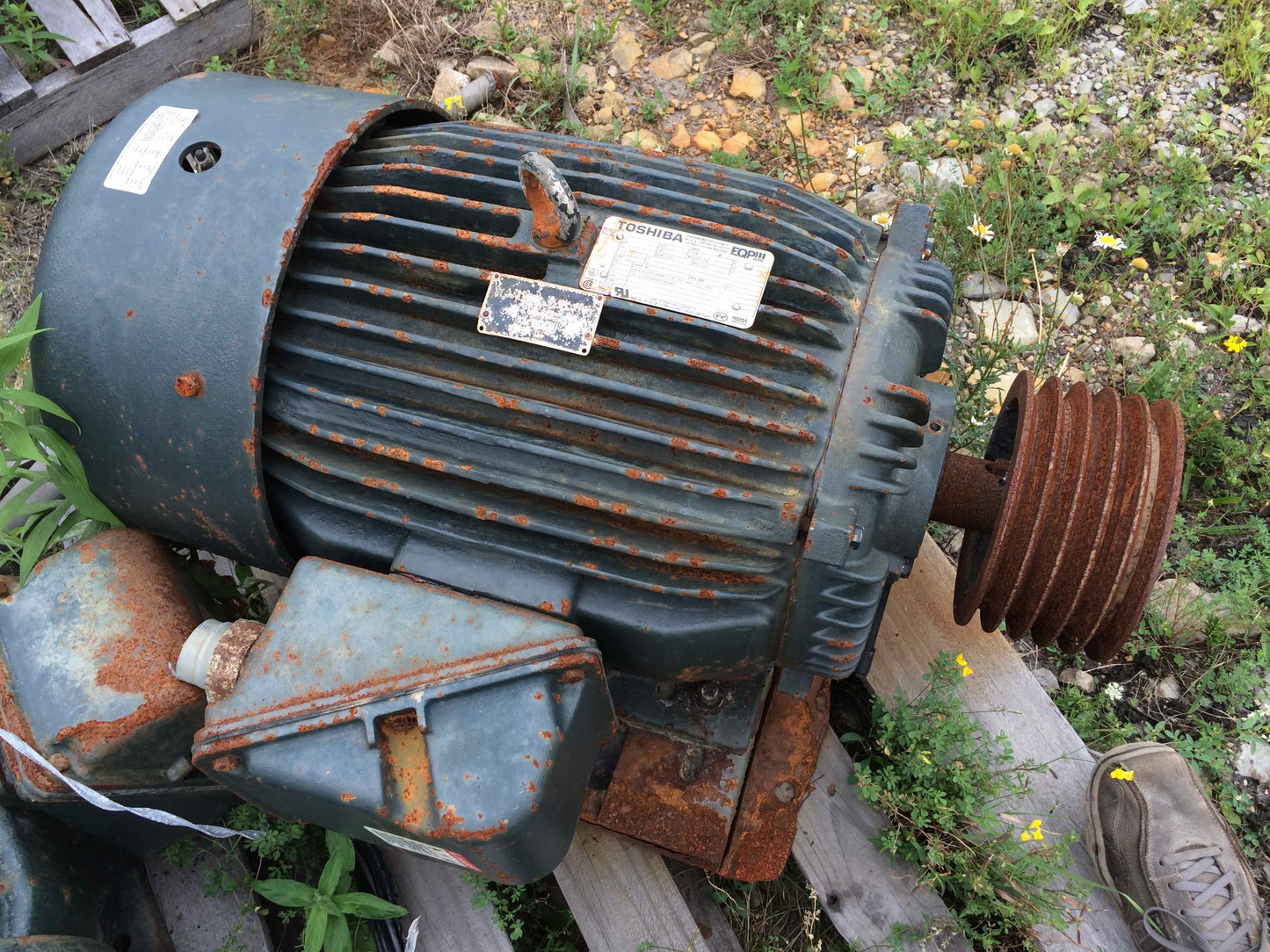 Toshiba, 50 HP, Inverter Duty, Electric Motor
